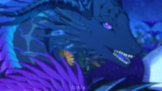 video preview for post 2481035