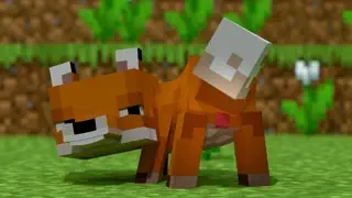 video preview for post 2484762