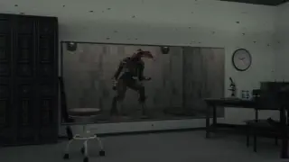 video preview for post 2493799