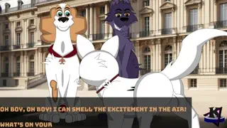 video preview for post 25212