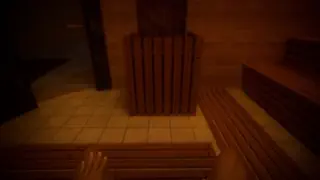 video preview for post 2540539