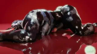 video preview for post 256695