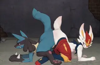 video preview for post 2639031