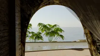 video preview for post 265054