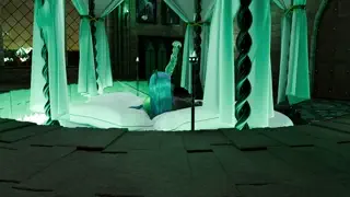 video preview for post 272173