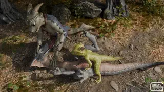 video preview for post 28414