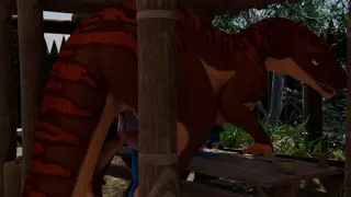 video preview for post 28922