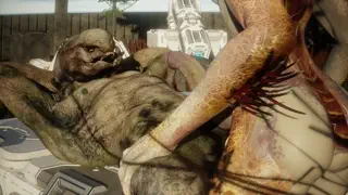 video preview for post 30123