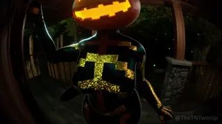 video preview for post 31034