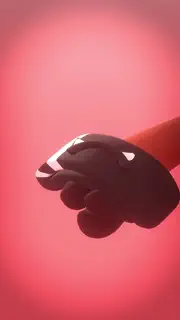 video preview for post 317150