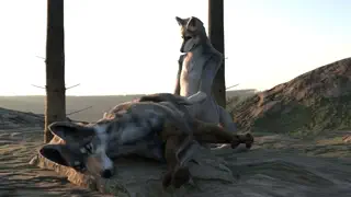 video preview for post 318040