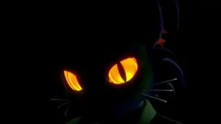 video preview for post 32110