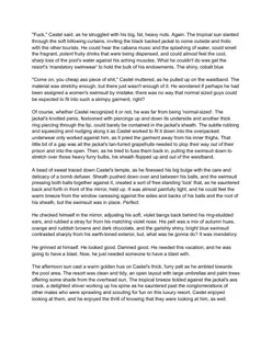 PDF preview for post 322060