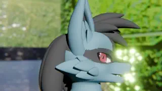 video preview for post 33122