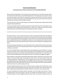 PDF preview for post 334861