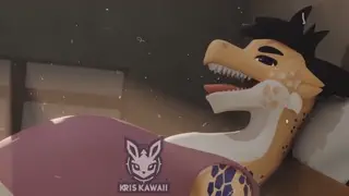 video preview for post 336511
