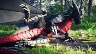 video preview for post 337180