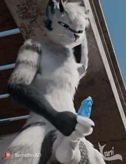 video preview for post 356294
