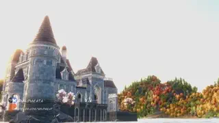 video preview for post 364218