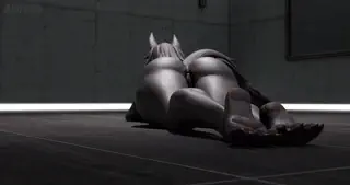 video preview for post 367472