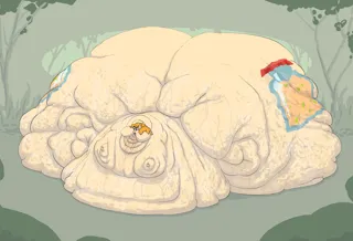 post 369071