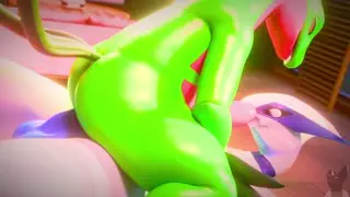 video preview for post 376044