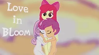 video preview for post 379938