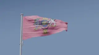 video preview for post 383825