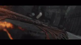 video preview for post 392676