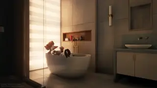 video preview for post 405805