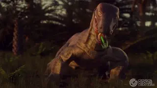 video preview for post 411818