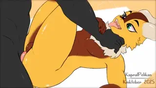 video preview for post 413117