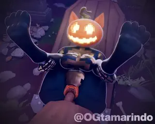 video preview for post 415169
