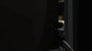 video preview for post 429520