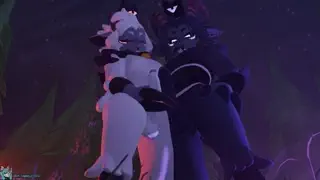 video preview for post 433617