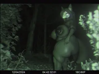video preview for post 43510