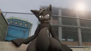 video preview for post 436922