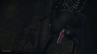 video preview for post 437866