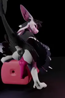 video preview for post 44163