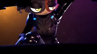 video preview for post 445954