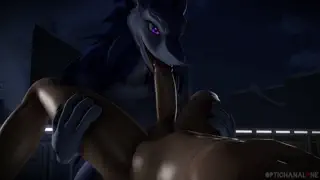 video preview for post 451772