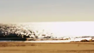 video preview for post 454798