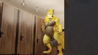 video preview for post 455313