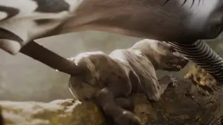 video preview for post 457626