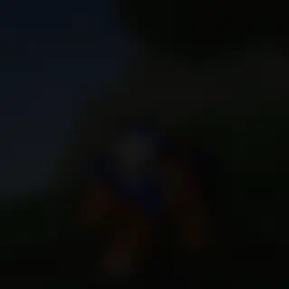 video preview for post 457794