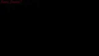 video preview for post 458104
