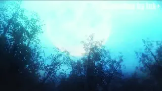 video preview for post 461569