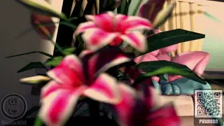 video preview for post 463256