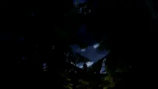 video preview for post 463654