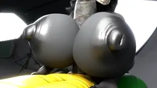 video preview for post 465395
